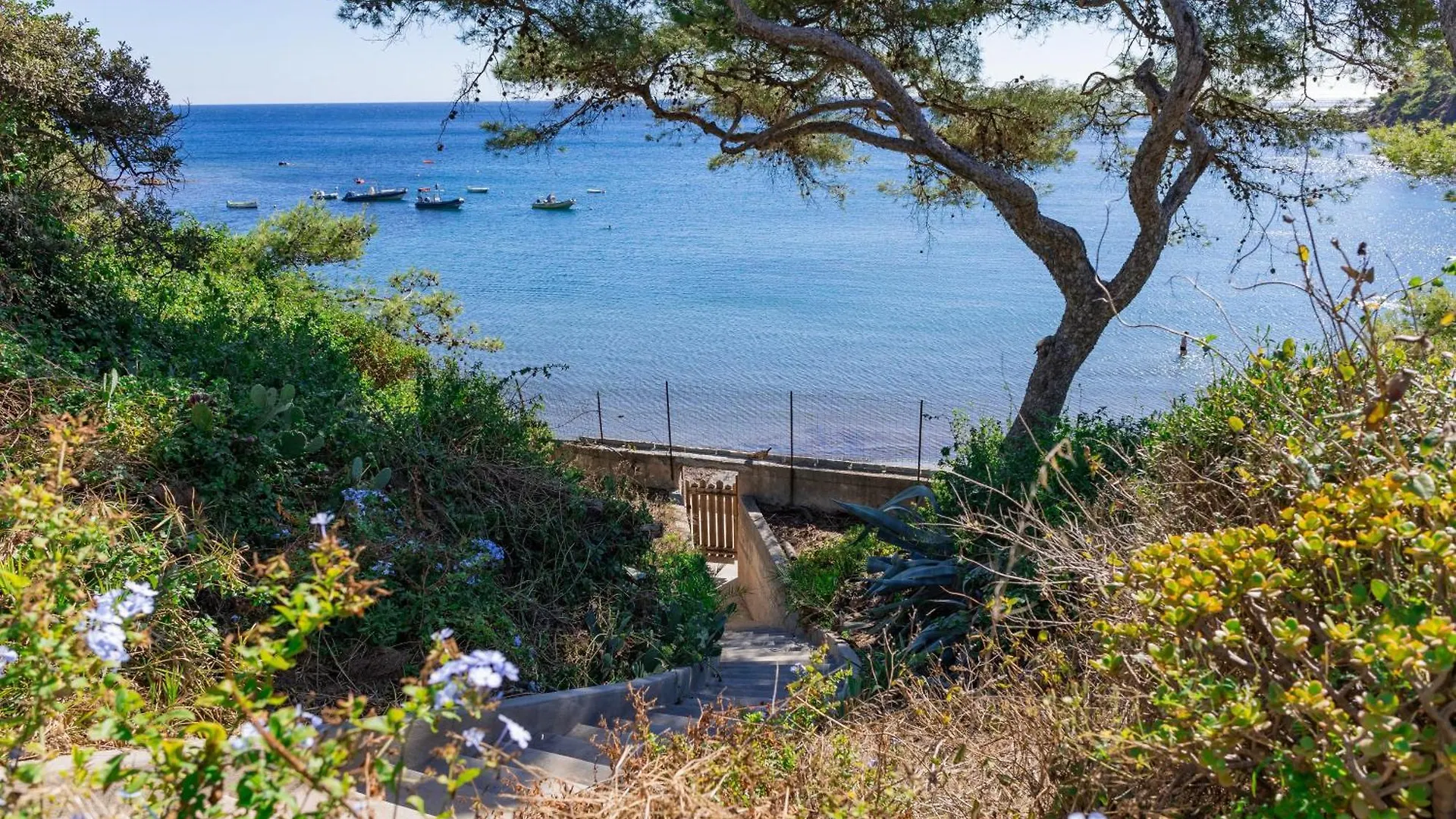Luxueuse Villa Bord De Mer La Seyne-sur-Mer